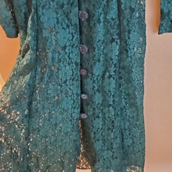 Vintage 70s Green Lace Button Sheer Boho Dress - Picture 3 of 6